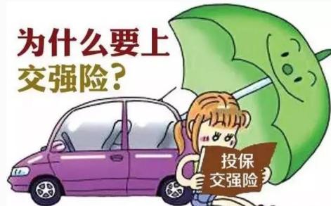 2017交强险多少钱一年