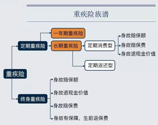 重疾险一年多少钱？