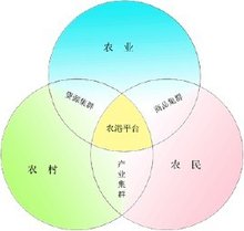 三农保险购买注意事项