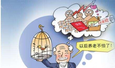 新型农村养老保险