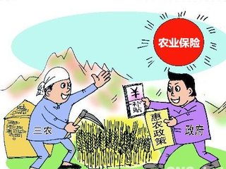三农保险总结