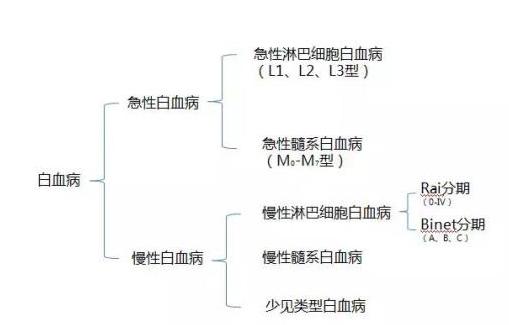 专门保白血病的保险