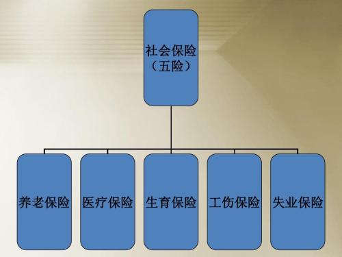 社会保险