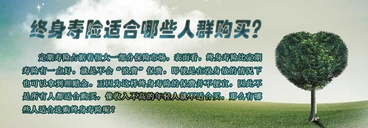 保险