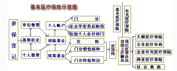 基本医疗保险的示意图