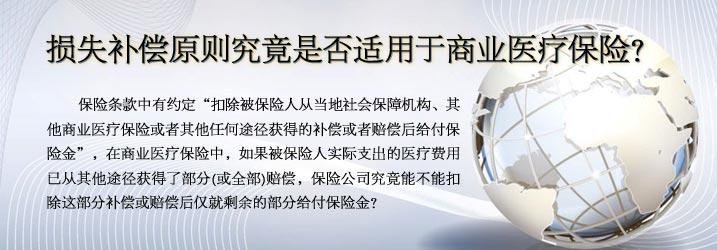 保险损失补偿原则适用范围
