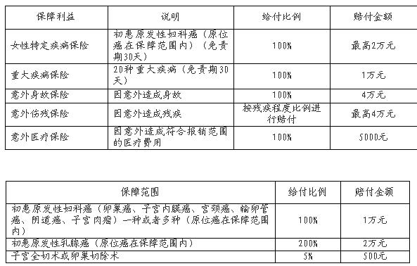 女性安康保险