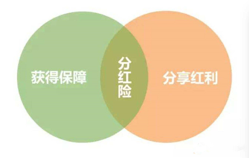 分红保险的作用