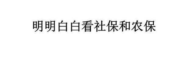 社保与农保的区别