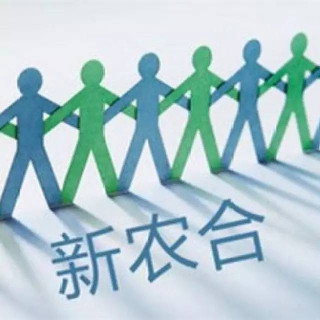 新型农村合作医疗保险