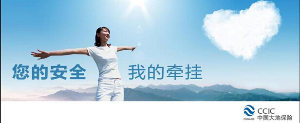 大地保险