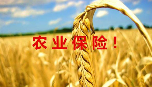 三农保险的保险条件