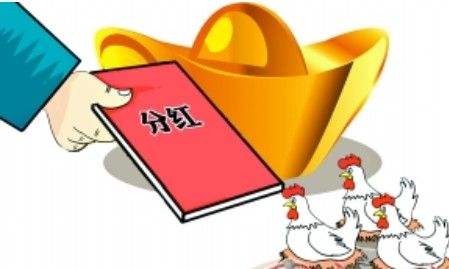 分红险和连投险的区别
