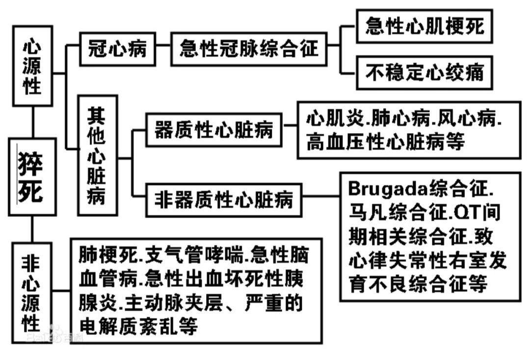 图片1csi4.png