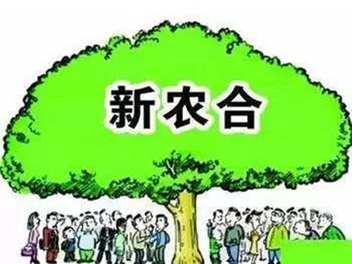 新农合