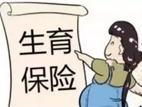 生育保险新政策