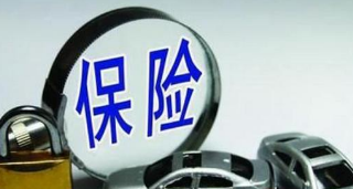 史带财险