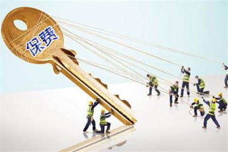 保费