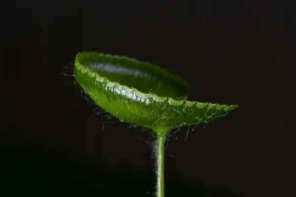 保险交了一年能退多少钱