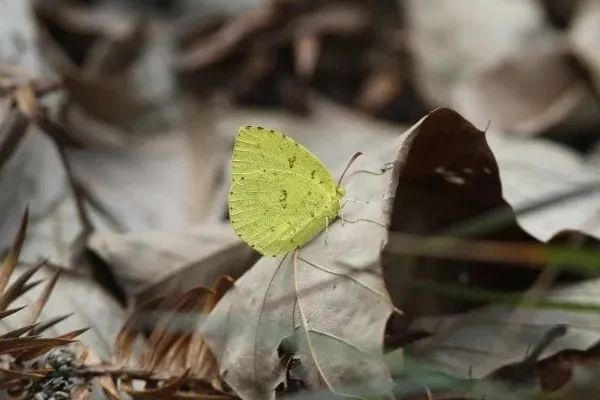 保险哪些一定要买