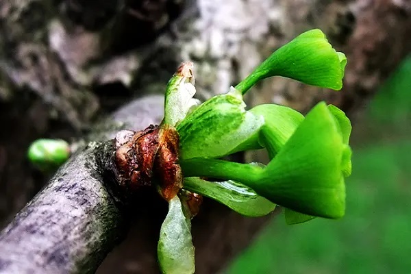 太平洋退保险怎么能全额退？找代理退要注意什么？