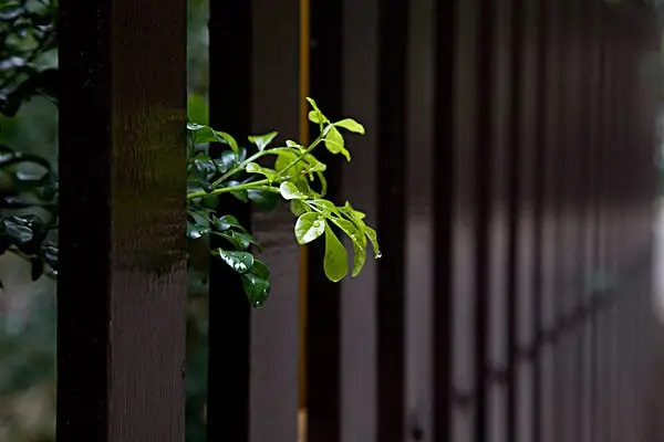 输液港百万医疗险能报销吗